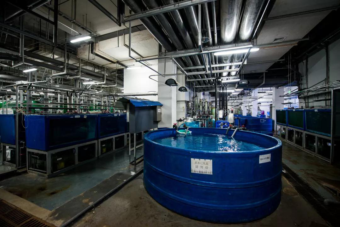 蠕動泵用(yòng)于克服三種廢(fèi)水問題